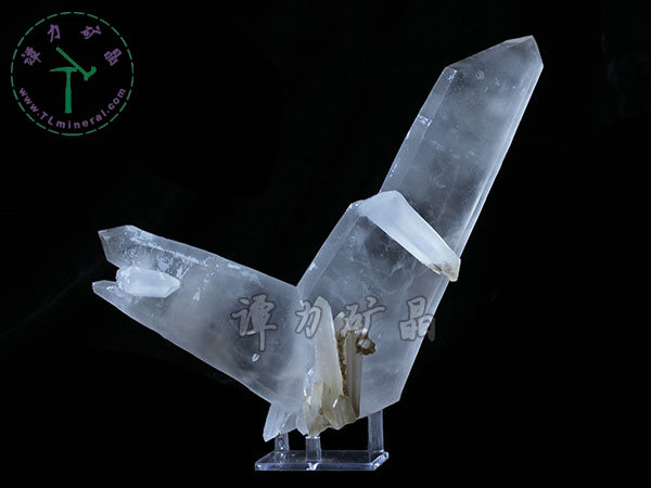 日本律雙晶，內(nèi)蒙古內(nèi)蒙古，東烏珠穆沁旗，額仁高畢,六井,976層,2016年產(chǎn)出