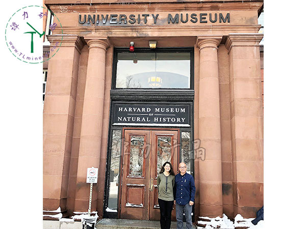 哈佛大學(xué)礦物博物館館長(zhǎng)Raquel-Alonso-Perez拉奎爾·阿隆索·佩雷斯（左），譚力（右）